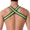 Barcode Berlin Harnais élastique Colin Vert